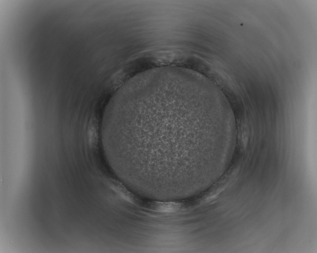 X0000111870226200908061300