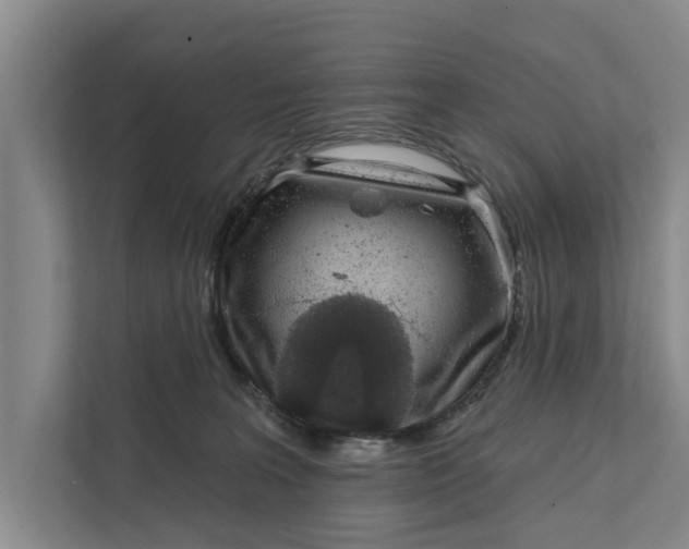 X0000111870227200908061300