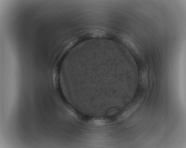 X0000111870228200908061300