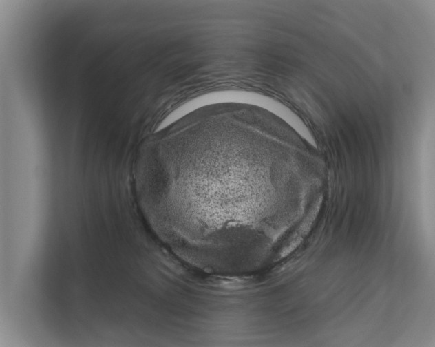 X0000111870229200908061300