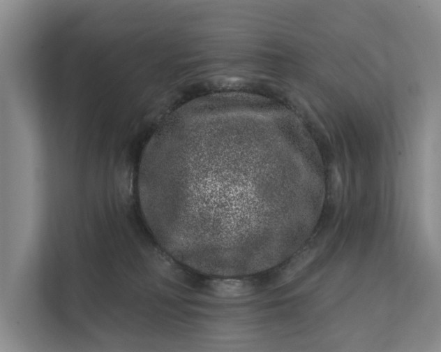 X0000111870230200908061300