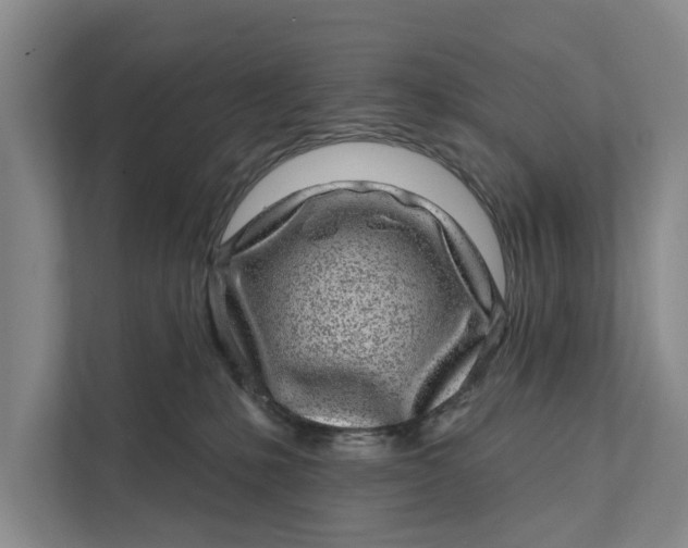 X0000111870231200908061300