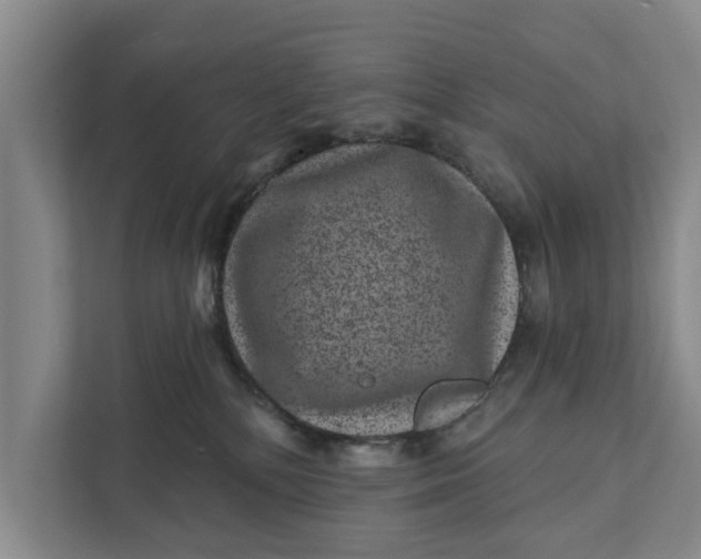 X0000111870232200908061300