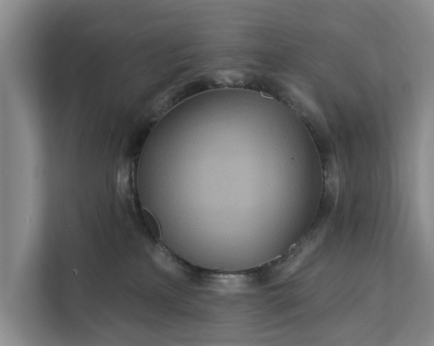 X0000111870233200908061300