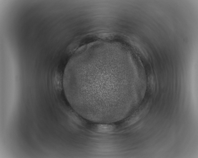 X0000111870234200908061300