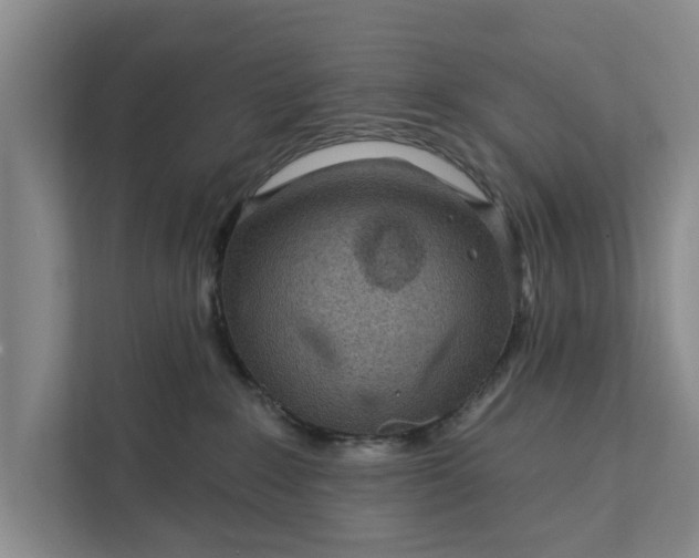 X0000111870235200908061300