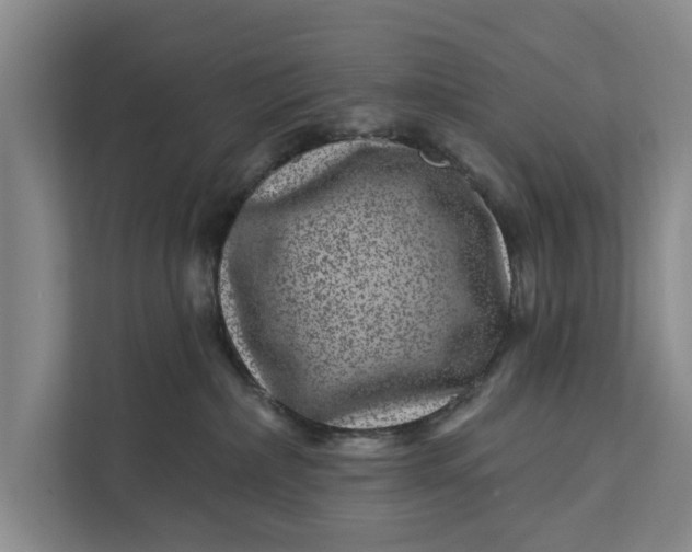 X0000111870236200908061300