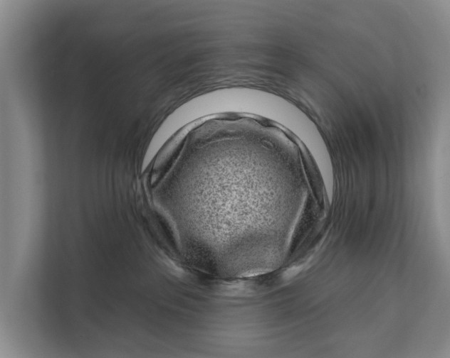 X0000111870237200908061300