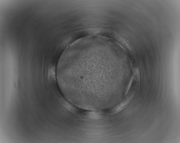 X0000111870238200908061300