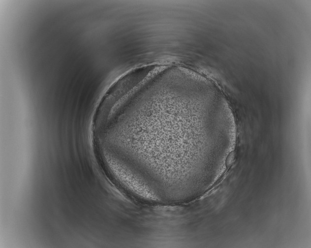 X0000111870242200908061259