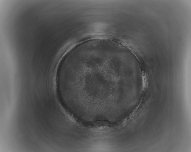 X0000111870243200908061259