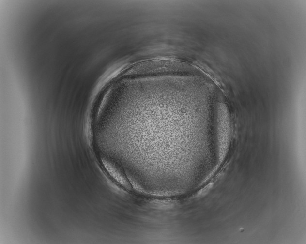 X0000111870245200908061259