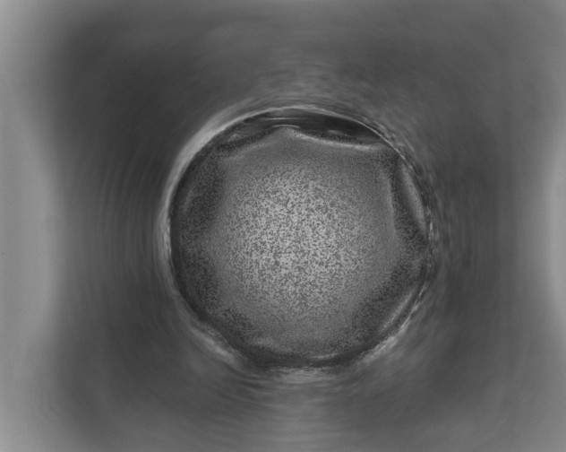 X0000111870246200908061259