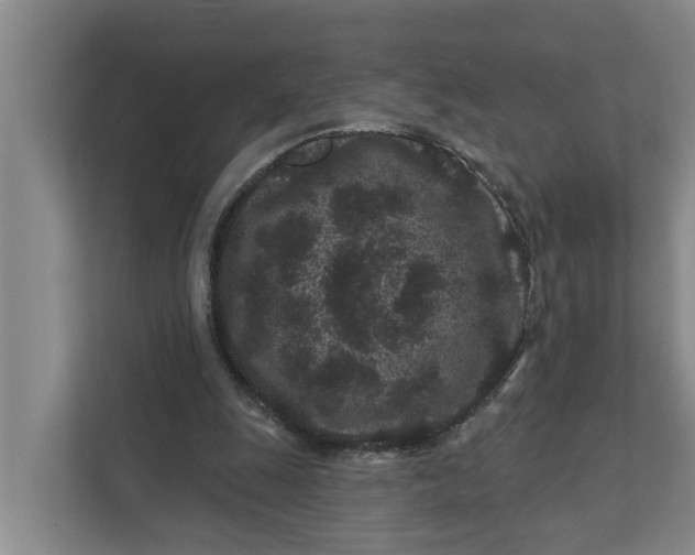 X0000111870247200908061259