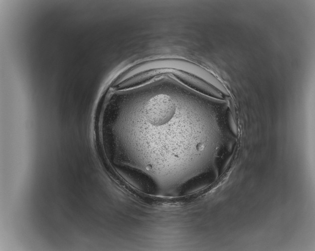 X0000111870248200908061259