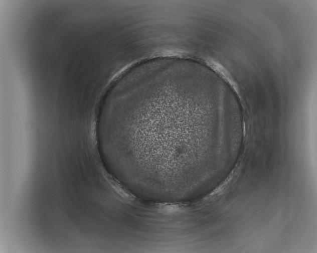 X0000111870249200908061259