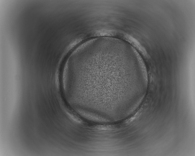 X0000111870250200908061259