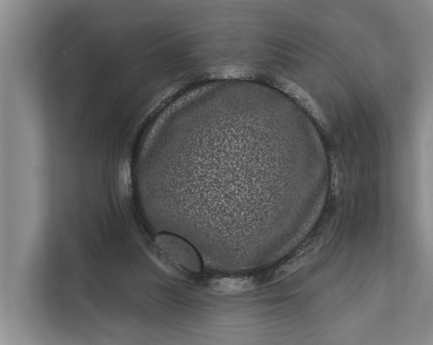 X0000111870251200908061259