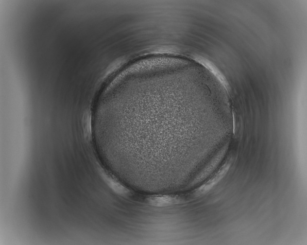 X0000111870253200908061259