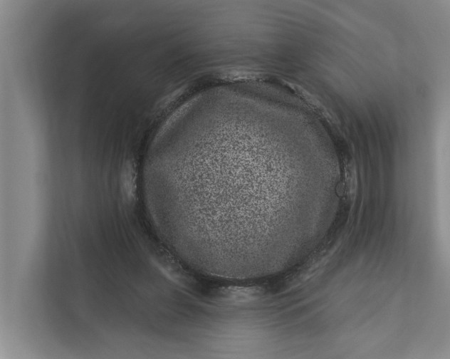 X0000111870255200908061259