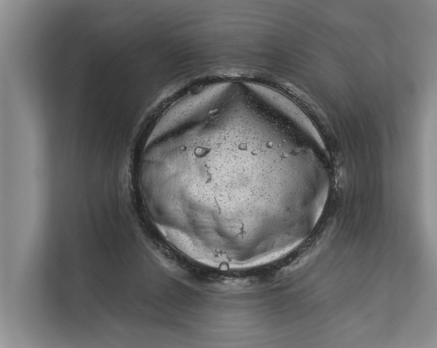 X0000111870256200908061300