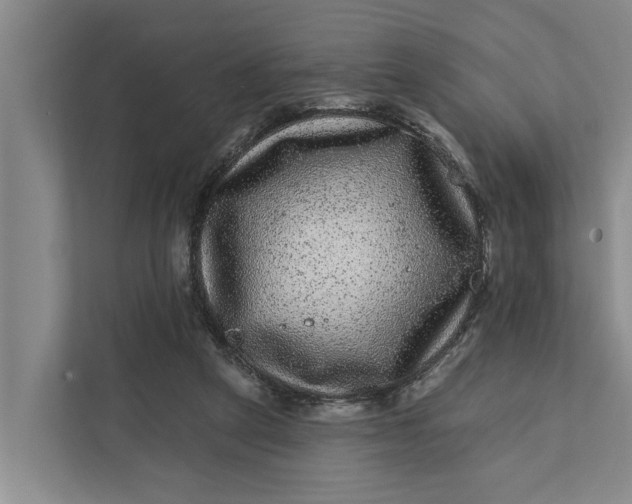 X0000111870257200908061300