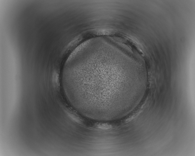 X0000111870258200908061300