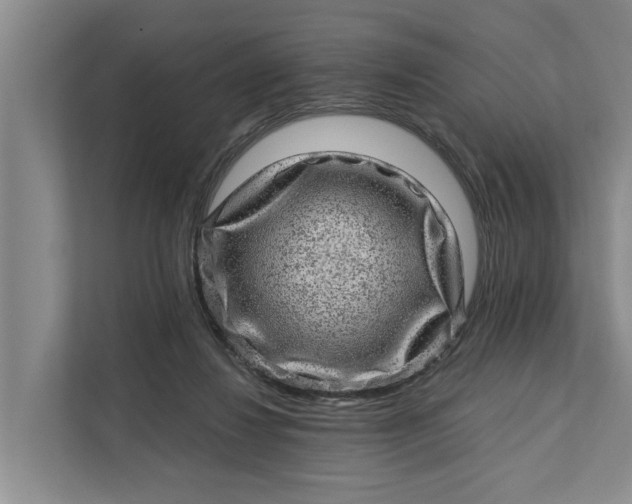 X0000111870260200908061300