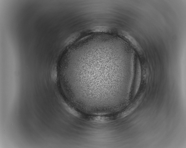 X0000111870261200908061300