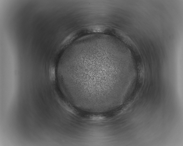 X0000111870262200908061300