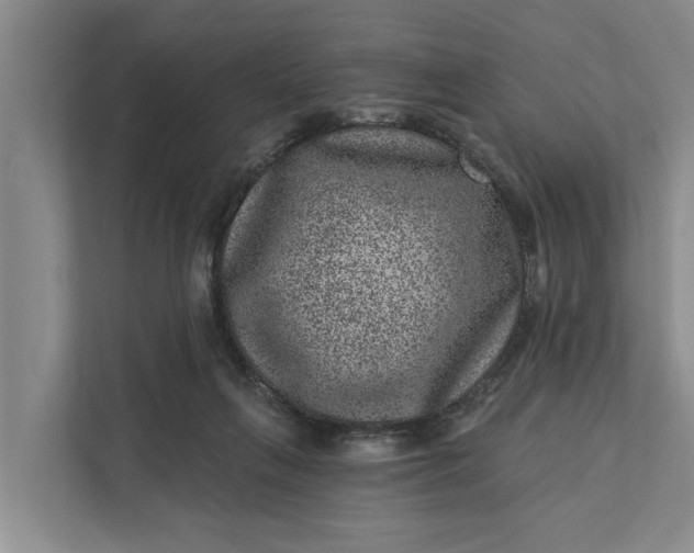 X0000111870263200908061300