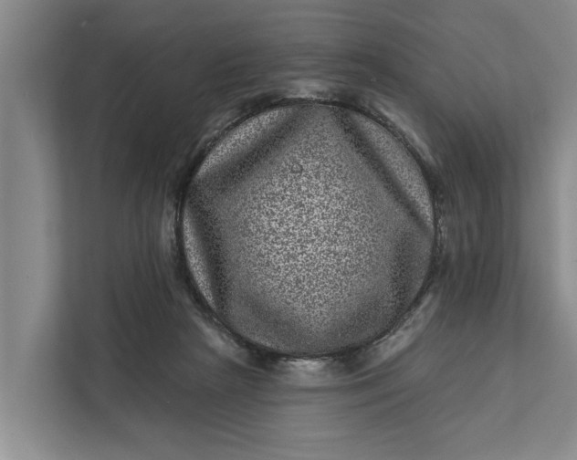 X0000111870265200908061300