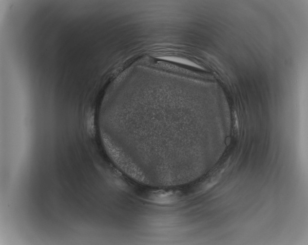 X0000111870267200908061300