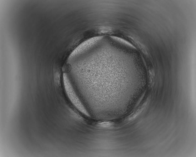 X0000111870269200908061300