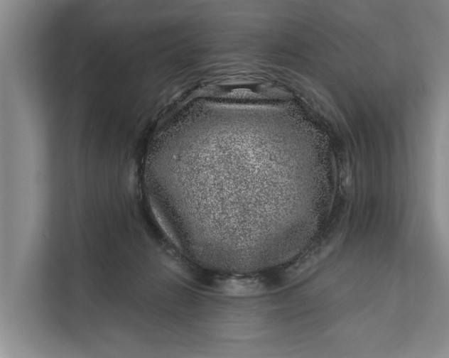 X0000111870270200908061300