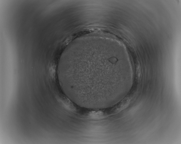 X0000111870271200908061300