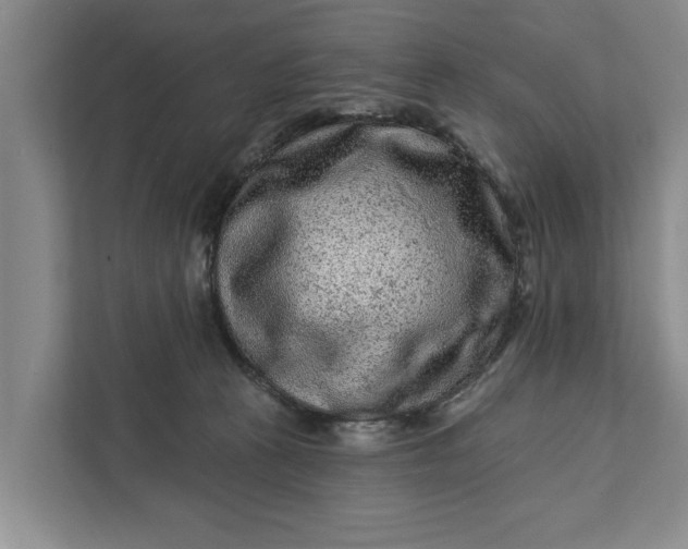 X0000111870273200908061300