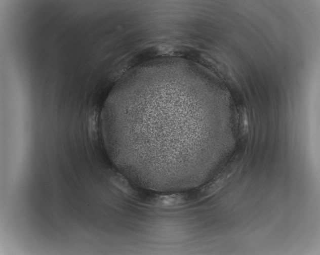 X0000111870275200908061300