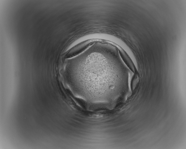 X0000111870276200908061300