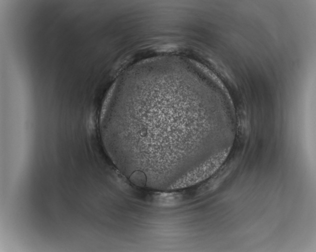 X0000111870277200908061300