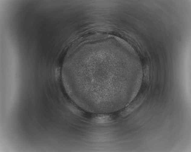 X0000111870278200908061300