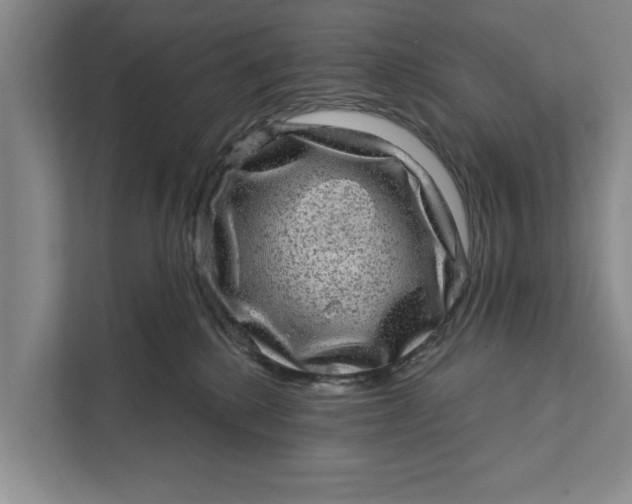 X0000111870280200908061300