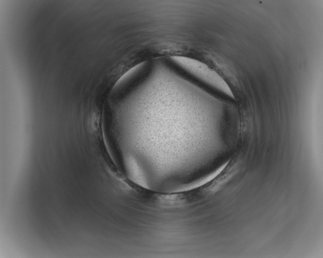 X0000111870281200908061300