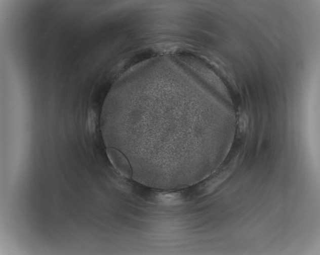 X0000111870283200908061300