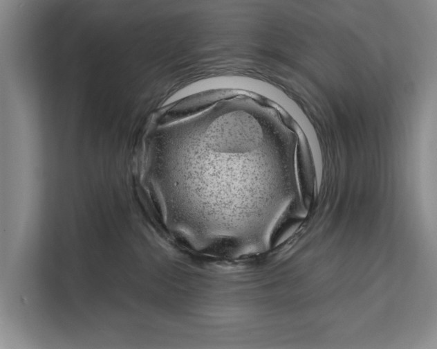 X0000111870284200908061300