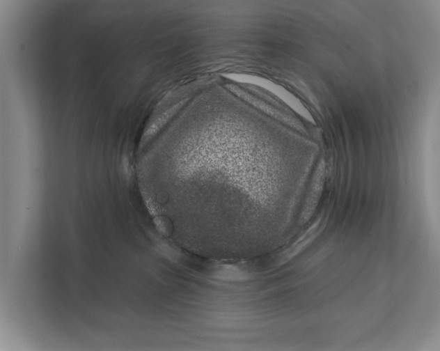 X0000111870285200908061300