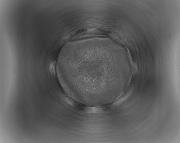 X0000111870286200908061300