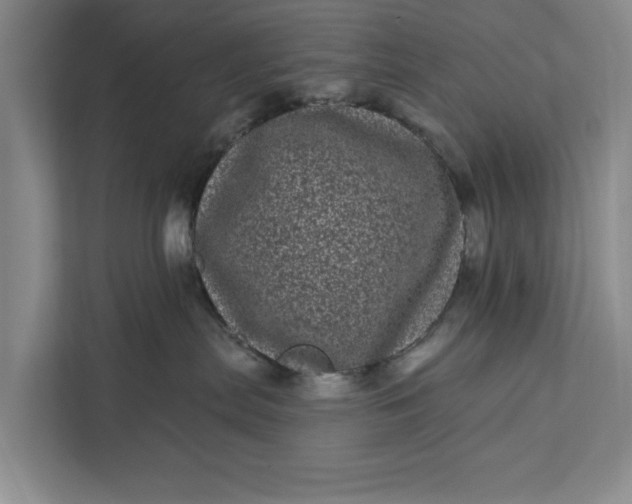 X0000111870287200908061300