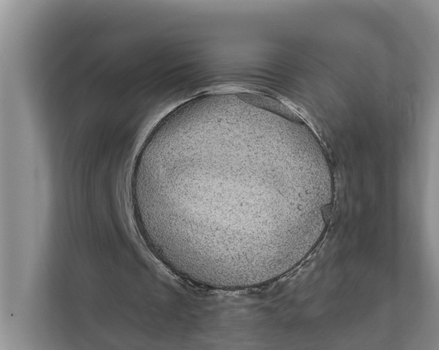 X0000111870289200908061259