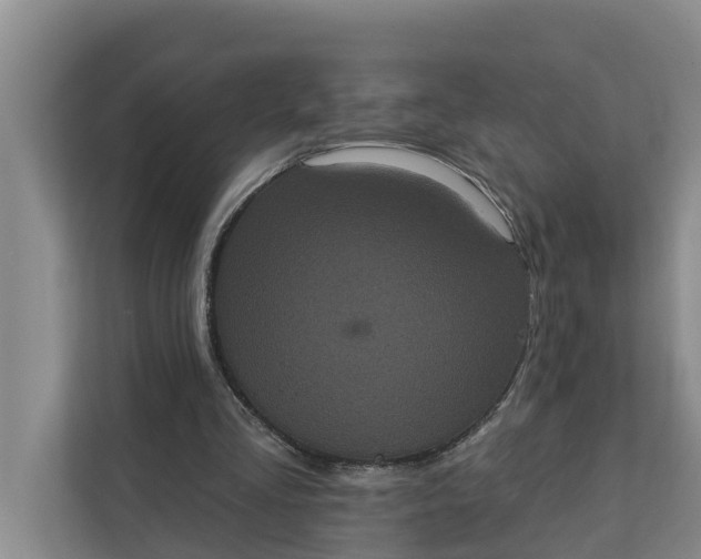 X0000111870293200908061259